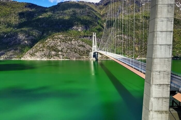 Hardangerfjord Private Tour from Bergen